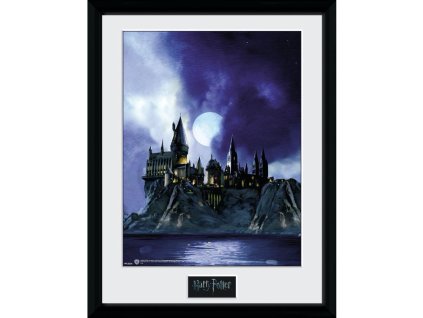 obraz harry potter bradavice 63f59215ad27d
