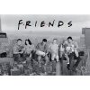 plakat friends skyscraper 60e8163f4ff91