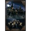plakat harry potter bradavice 618a86683679b