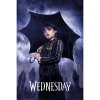 plakat wednesday downpour 64016f960dacd