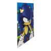 plakat 3d jezek sonic 66b19086363d6