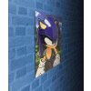 plakat 3d jezek sonic 66b1908648ca1