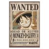 plakat one piece wanted luffy 67110d9a42749