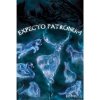 plakat harry potter patronus 5f4dc4ea0a2fe