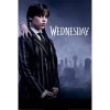 plakat wednesday wednesday a vec 68cb7485bfd72