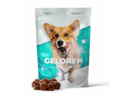 Geloren Dog SM