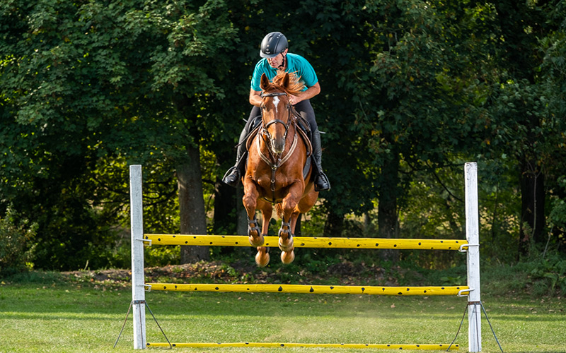 Jak vybrat kloubní výživu