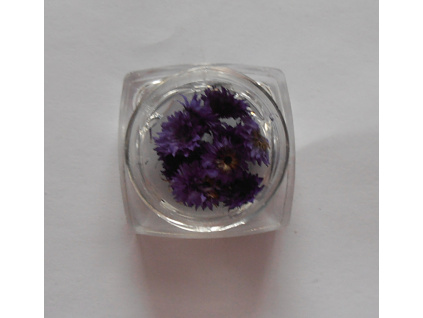 Sušené kvety č.12