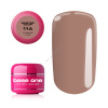 Base One color 11A