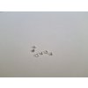 Safír bílý přírodní 2,5 mm kulatý KALIBROVANÝ
