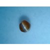 Chrysoberyl kočičí oko 0,59ct kulatý round kabošon