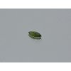 Saphir naturlicher marquis 3.4x7.0 mm facettiert  grün