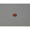 Grenat Spessartite naturel ovale 4x6 mm facettée