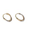 Zlaté náušnice dvojfarebné kruhy