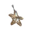 Strieborný prívesok morská hviezda zo zlatého kryštálu