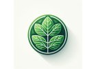 Moringa BIO