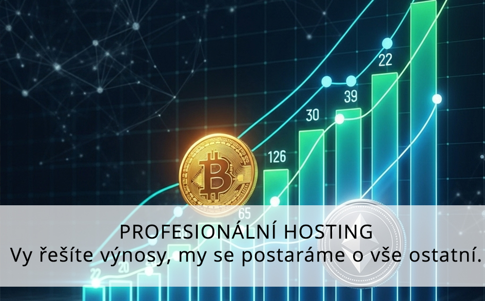 profesionální hosting