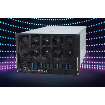 POKYN H100 12 GPU Server