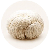 Lion's Mane