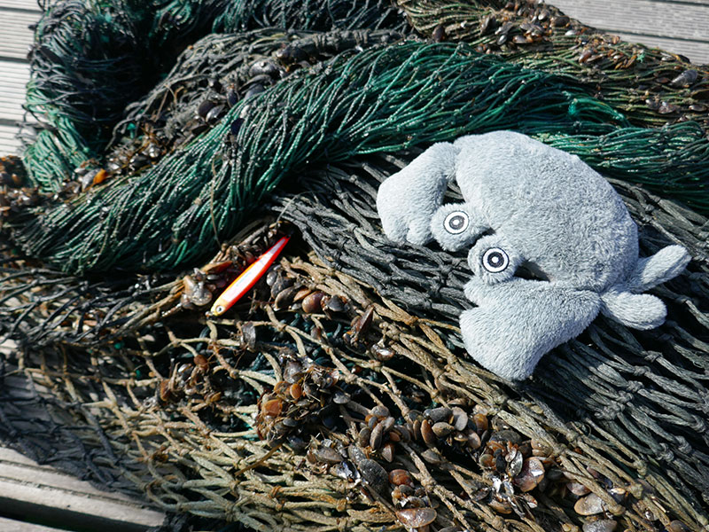 Projekt Trixie BE NORDIC a naše recenze