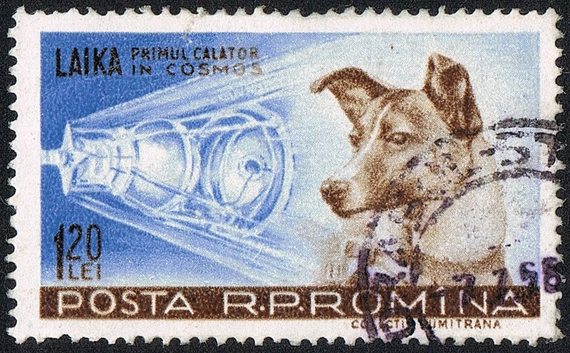 Slavní psi, kteří se dostali na poštovní známky