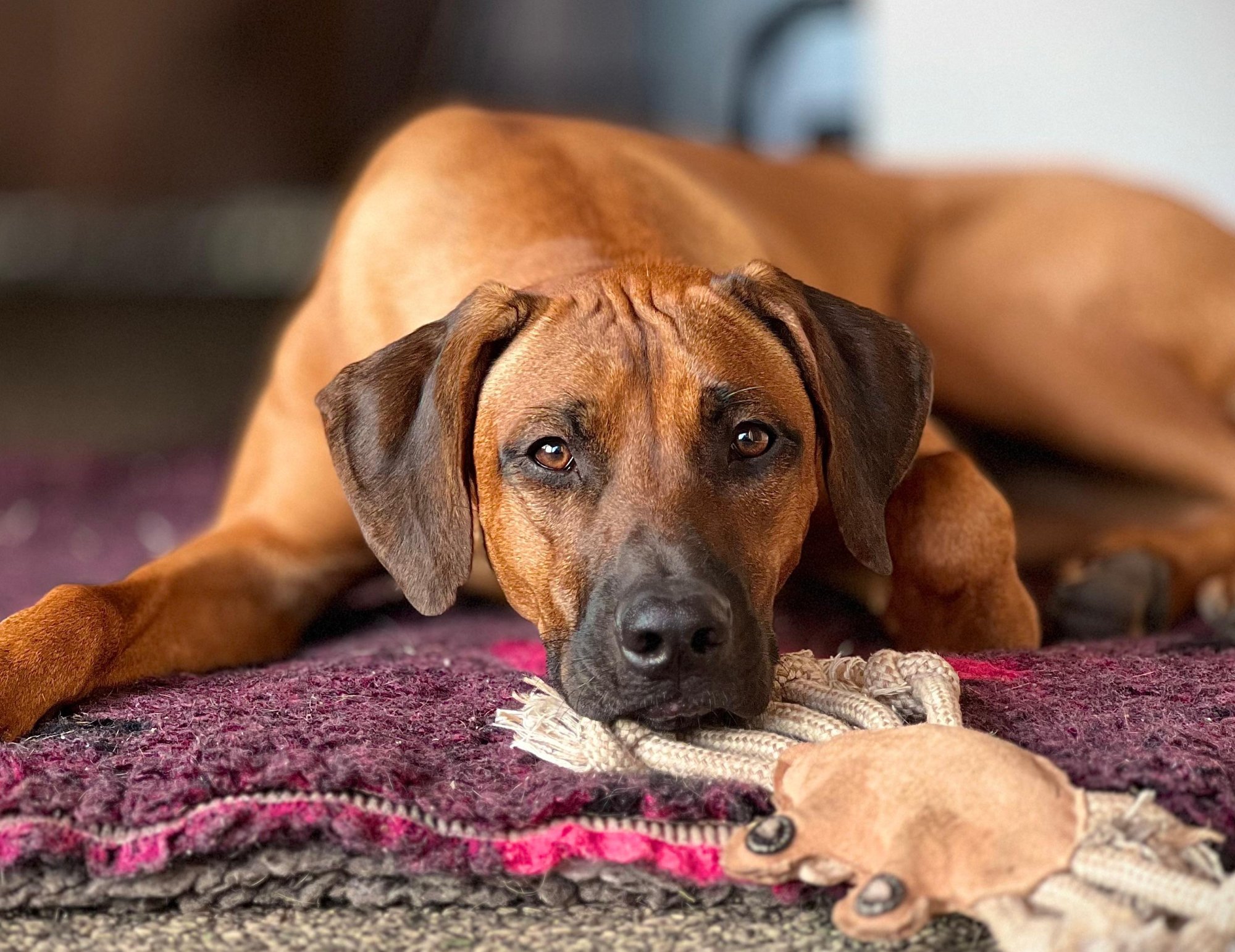 Proč nemůžeme mít vše skladem?