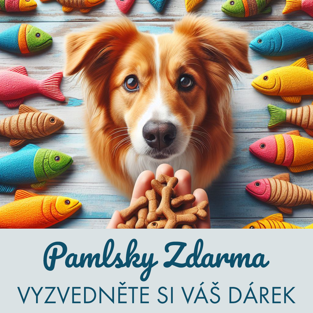 Pamlsky ZDARMA: Vyzvedněte si váš dárek 🎁💙