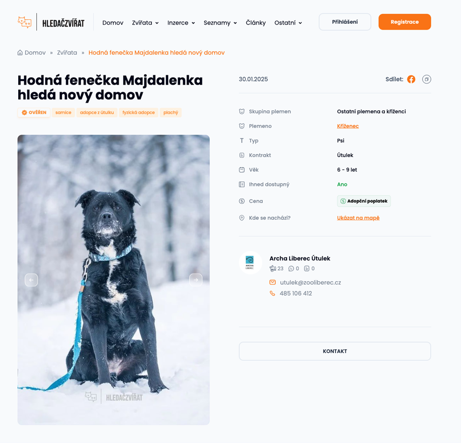 Psi z útulků na Hledaczvirat.cz