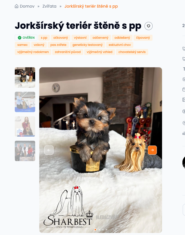 Štěňata na prodej a nabídka štěňat jednoduše a zdarma na Hledaczvirat.cz