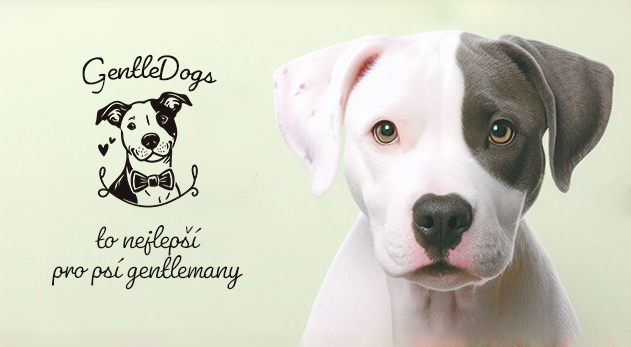 To nejlepší pro psí gentlemany