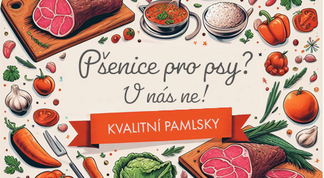 Pšenice pro psy? U nás ne!