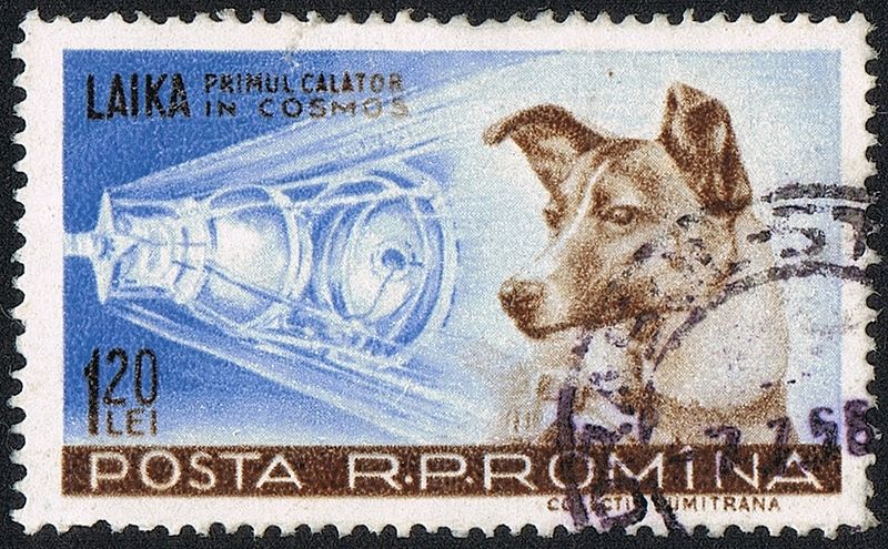 800px-Posta_Romana_-_1959_-_Laika_120_B