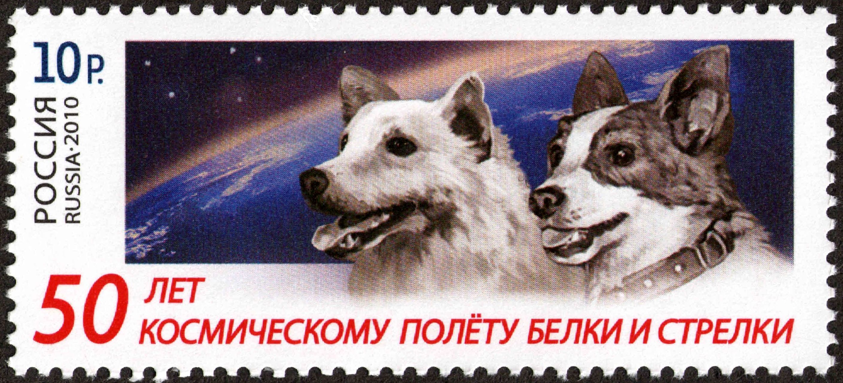 Belka_&_Strelka_50_Years_Flight_Stump