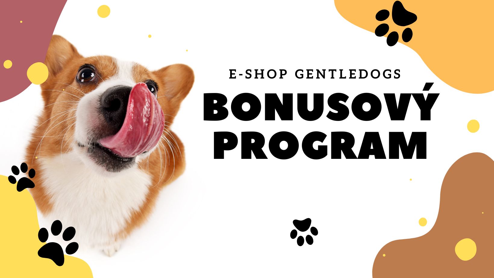 bonusovy-program-uvod