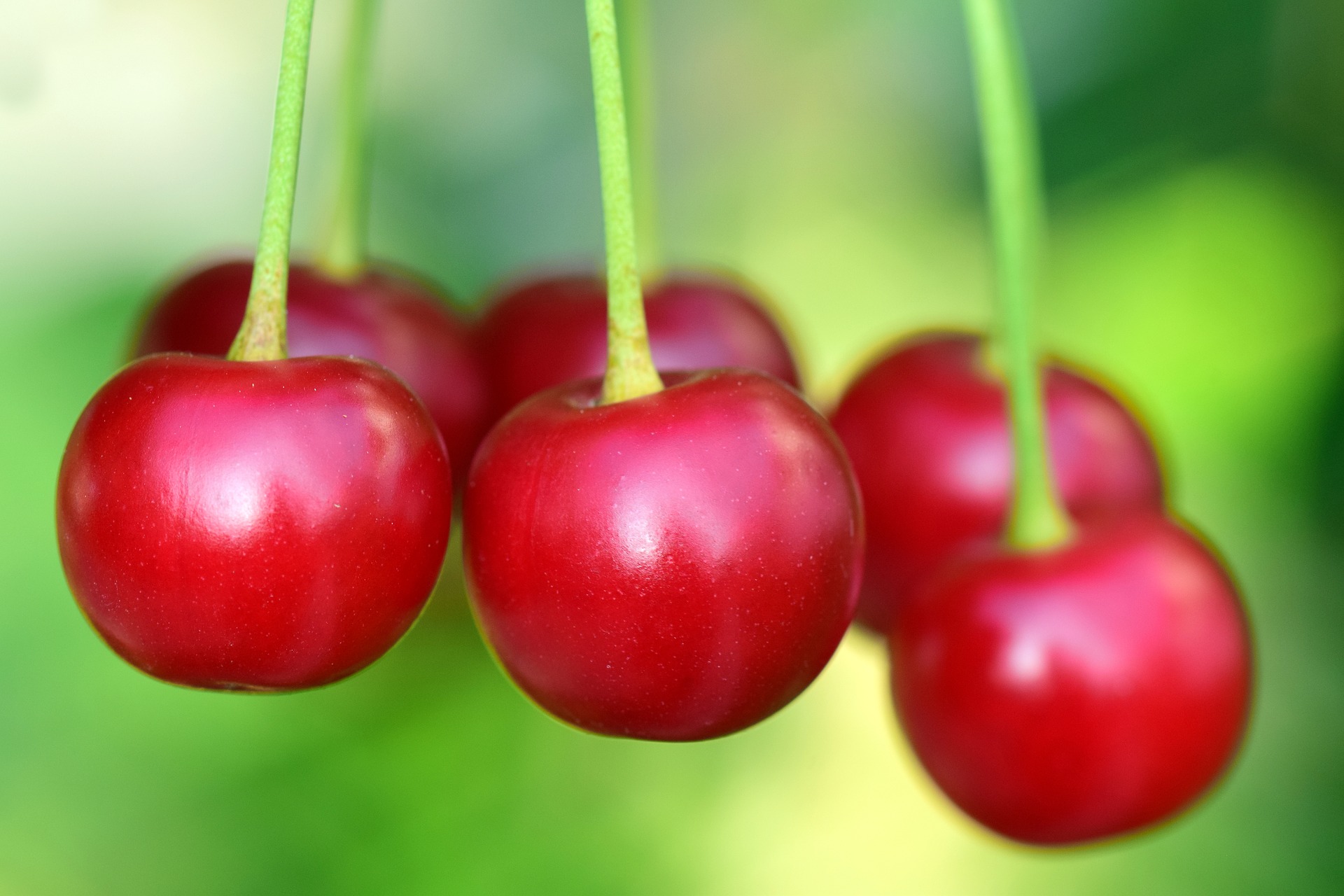 cherries-3477927_1920