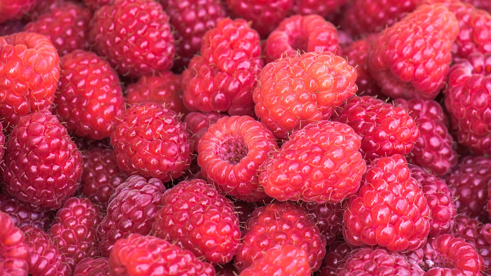 raspberries-3583005_1920