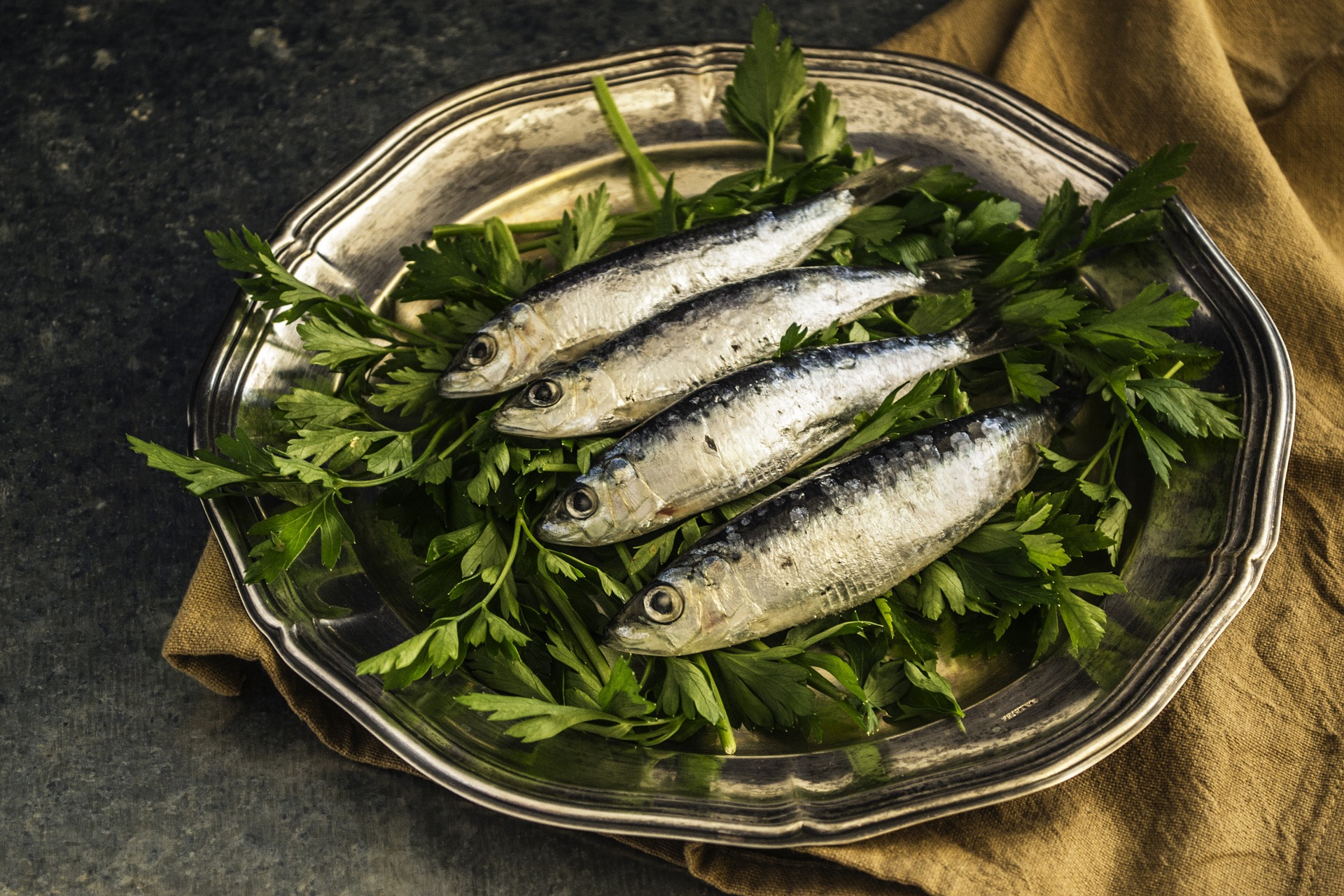 sardines-1468422_1920