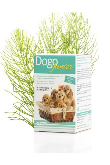 DOGOjunior