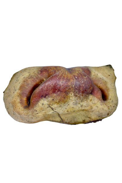 Hovězí Mulec - 1ks 60g