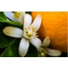 neroli