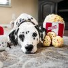 Interaktivní plyšový popcorn v kyblíčku - ZippyPaws Burrow
