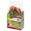 jr farm bezobilna smes pampeliska kmin 100g