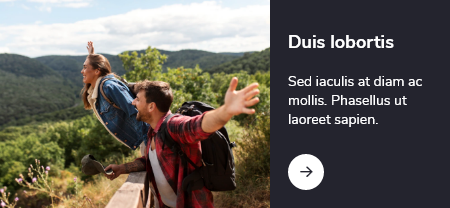 Duis lobortis