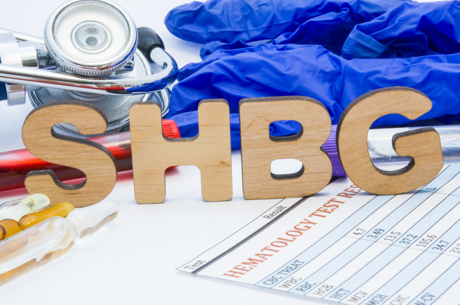 SHBG: Regulace pohlavních hormonů v těle