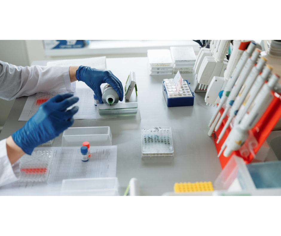 Od laboratorních výsledků k osobní suplementaci: krok za krokem průvodce, jak si nechat vyšetřit krev a nastavit doplňky stravy na míru