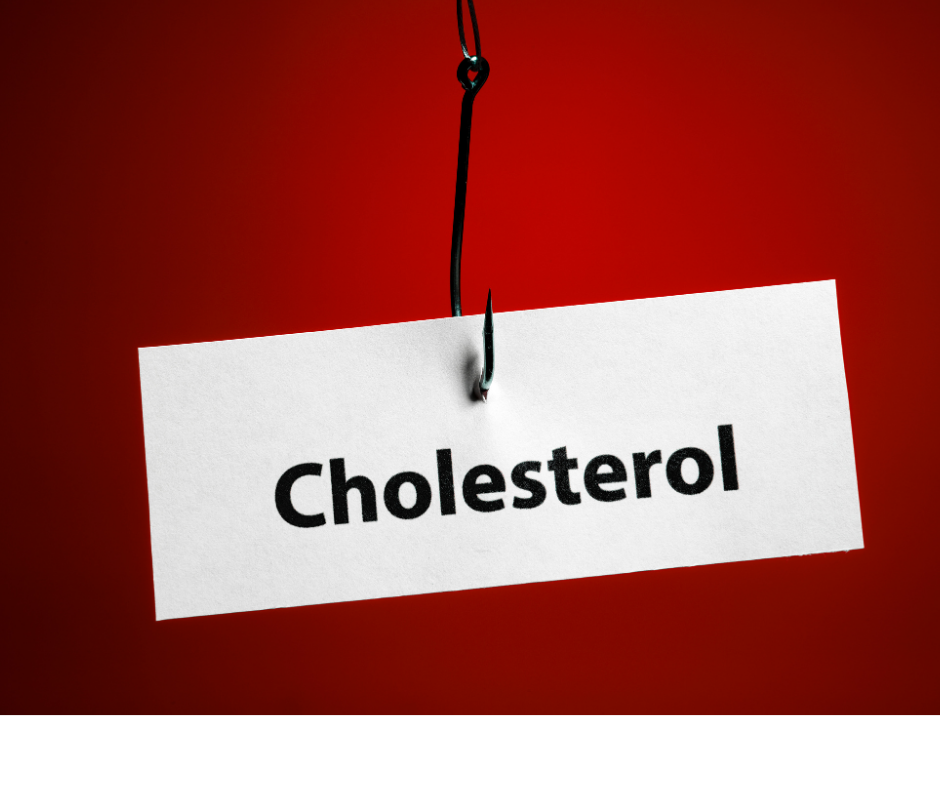 Zvýšený cholesterol – co znamená a kdy má smysl vyšetření
