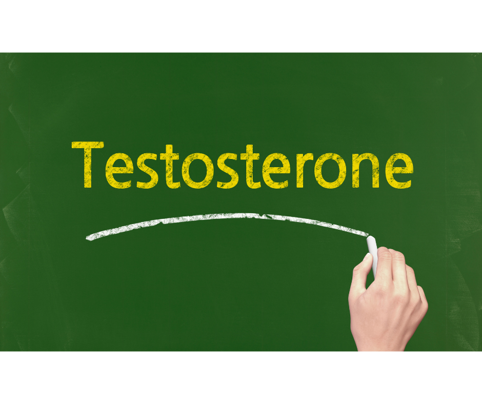 Test testosteronu – kdy ho udělat a co znamenají výsledky