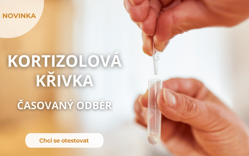 Kortizolová křivka