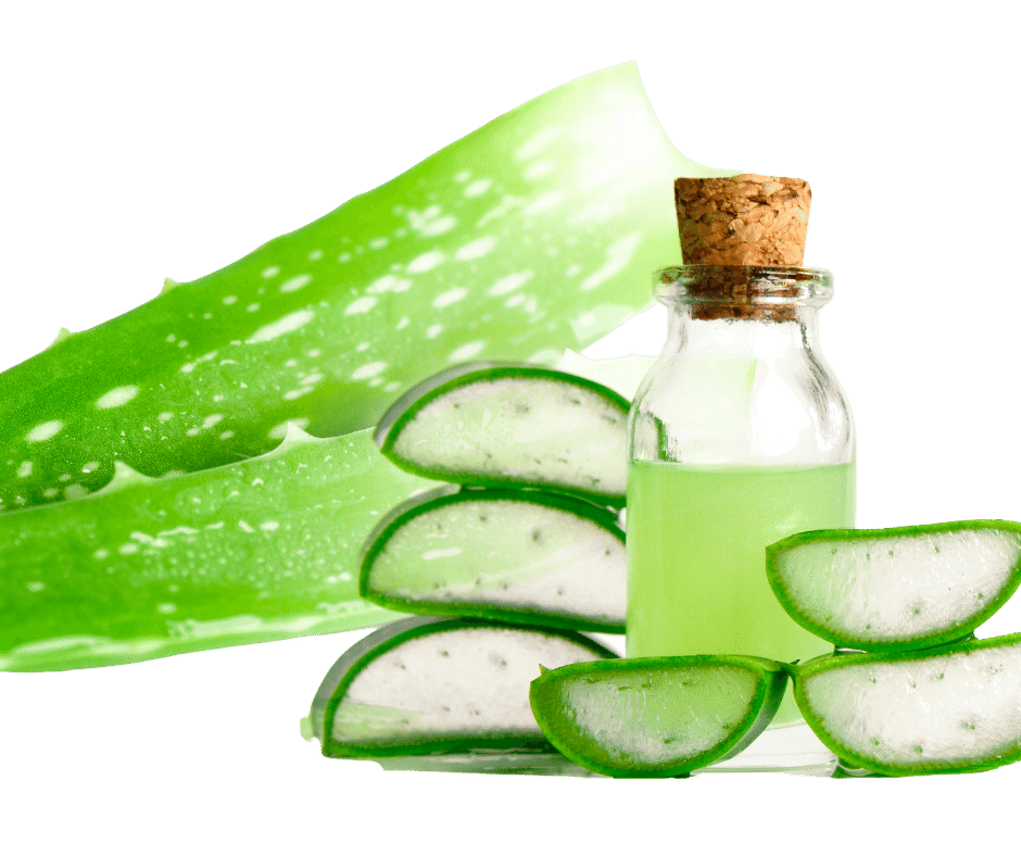 Aloe Vera: Pbh listu, kter objm vae zdrav a vitalitu | GenX