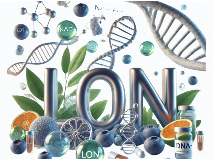 Mockup 2025 11 26T132318.619